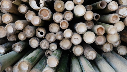 bamboo pile