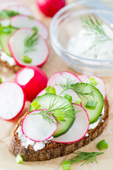 Radish and cucumber sandwich