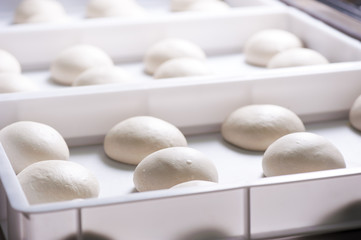 Fototapeta na wymiar Pizza ball dough on white tray