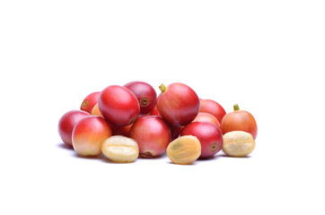 Red coffee beans isolated on white background
