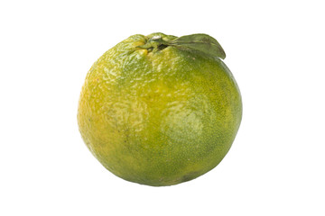 Isolated green mandarine