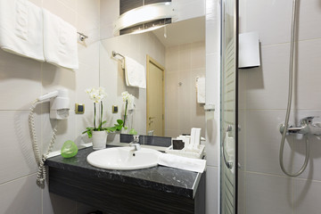 Interior of a hotel bathroom