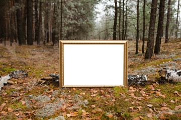Табличка на фоне леса