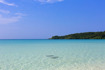 Fototapeta na wymiar landscape of tropical island beach