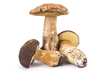 Three fresh ripe Boletus edulis mushrooms isolated on white background