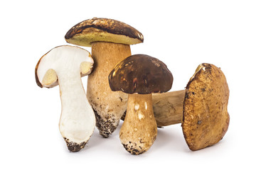 Fresh ripe Boletus edulis mushrooms and one cutted, isolated on white background