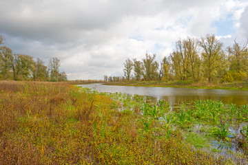 Shore of a lake below a blue cloudy sky in autumn