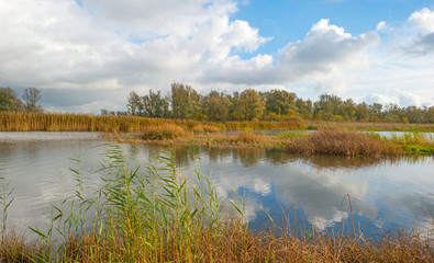 Shore of a lake below a blue cloudy sky in autumn