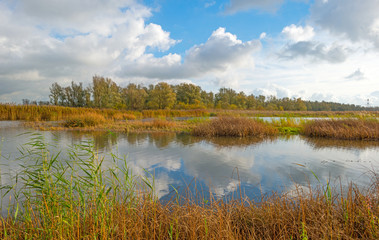 Shore of a lake below a blue cloudy sky in autumn