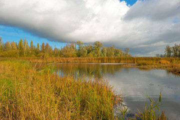 Shore of a lake below a blue cloudy sky in autumn
