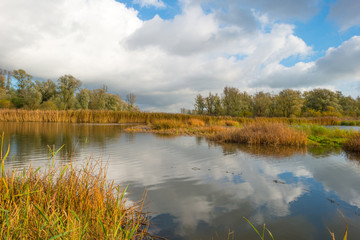 Shore of a lake below a blue cloudy sky in autumn