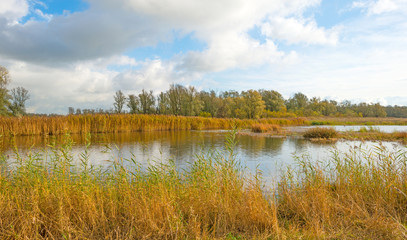 Shore of a lake below a cloudy sky in autumn