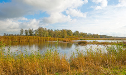 Shore of a lake below a cloudy sky in autumn