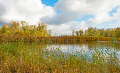 Shore of a lake below a cloudy sky in autumn