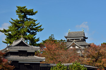 秋の松江城