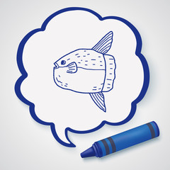 Sunfish doodle