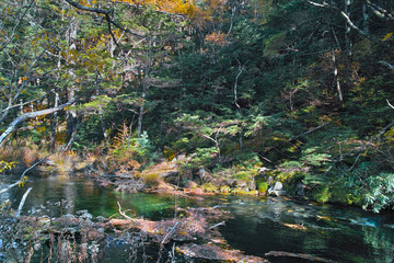 上高地　清水川