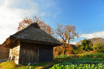 秋の夕陽に照らされる藁葺小屋