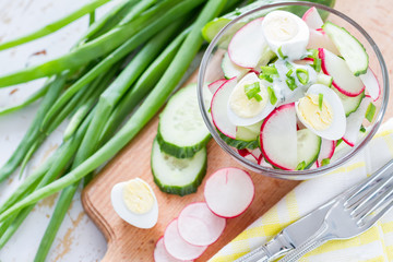 Radish salad and ingredients