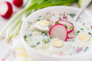Okroshka - traditional summer cold soup