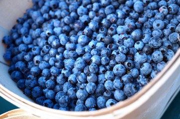 Wild blueberries (bleuets) at a Canadian farmers market 