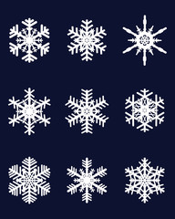 Fototapeta na wymiar Set of different white snowflakes, vector illustration