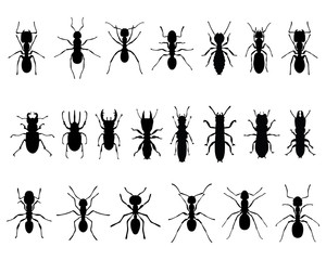 Black silhouettes of ants and termites, vector