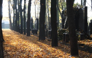 herbststimmung auf dem Jüdischen Friedhof in Berlin-Weissensee