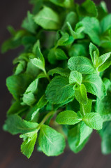 fresh mint leaves on a wooden background