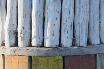 painted colorful trees