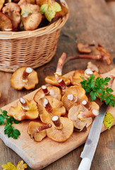 Fototapeta premium Honey agaric/ Armillaria wild edible mushrooms on wooden background