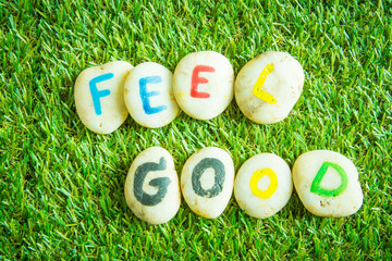 feel good paint on stone , on the grass