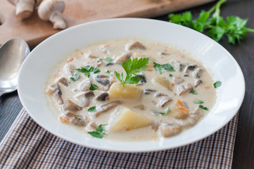 plate of vegetarian mushroom soup