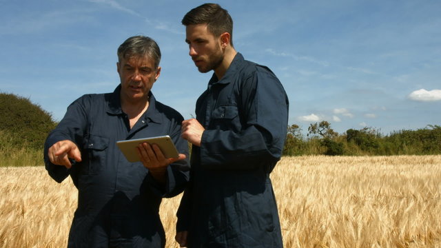 Farmers checking crops using tablet