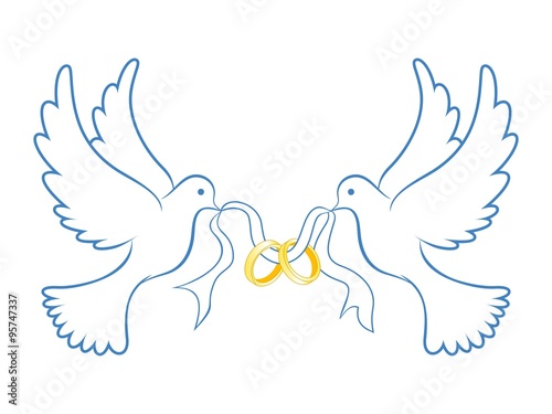  Wedding  Dove  With Ring  Blue Color Stock image and 