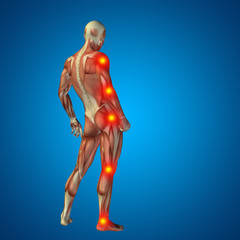 3D human man pain anatomy on blue background