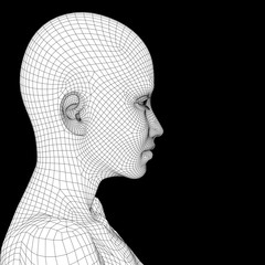 Conceptual 3D wireframe human female or woman face or head