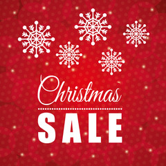 Shopping christmas offers and discounts season