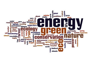 Conceptual ecology word cloud