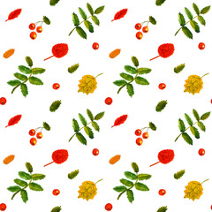 Rowan berry and birch leaves autumn watercolor vintage hand drawn vector seamless pattern