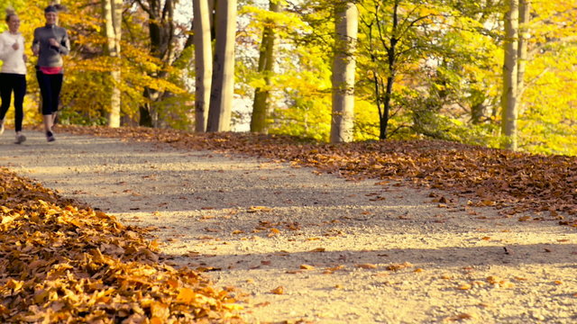Running at park with autumn colours