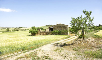 Fototapeta na wymiar Paisaje agrícola en Lleida, Catalunya, España