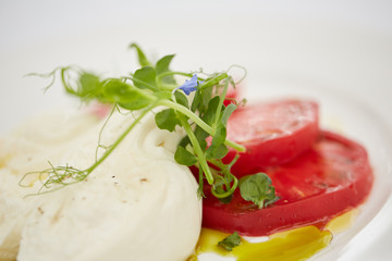 appetizer with tomato and cheese