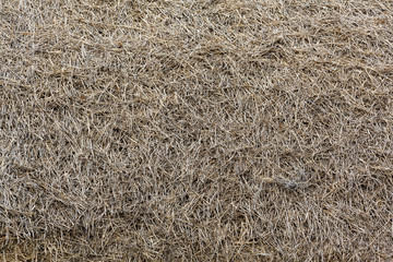 background roof of straw
