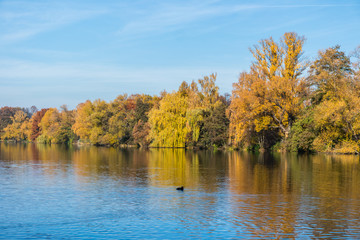 Zwickau Park