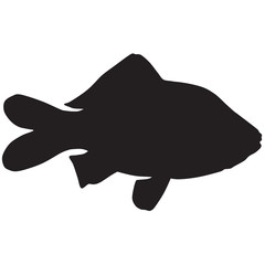 Silhouette of a crucian carp