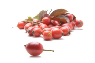 Rosehip berries with leaves isolated on white background