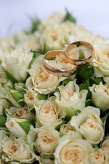 Beautiful flowers closeup