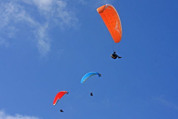 Paragliders