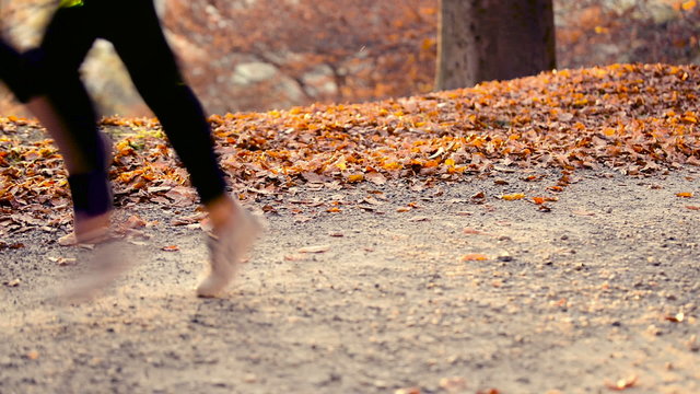 Running at park with autumn colours